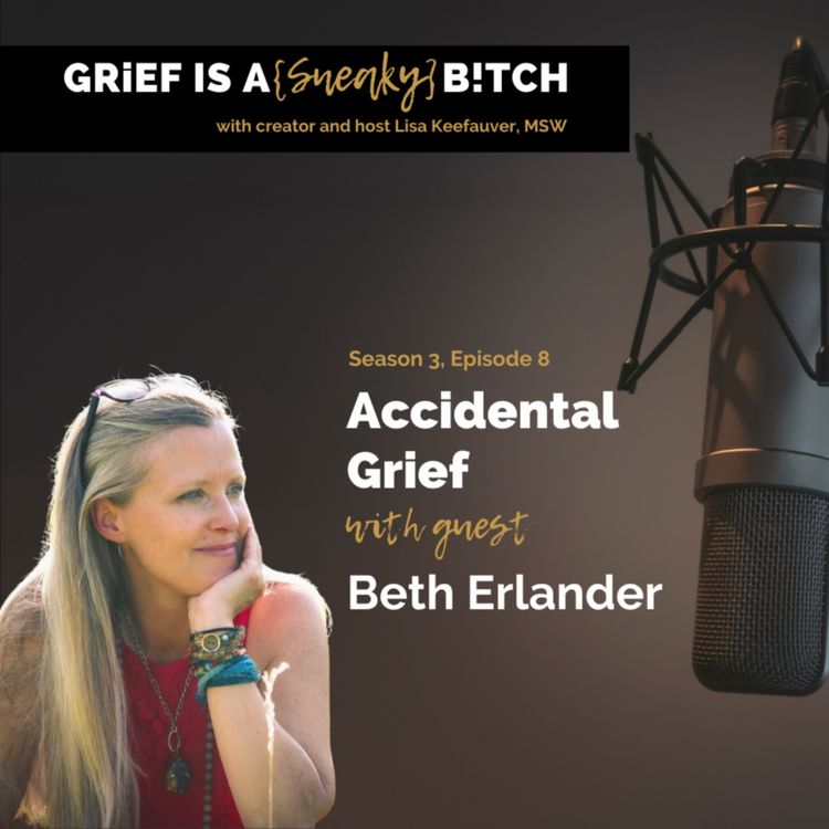 cover art for Beth Erlander | Accidental Grief