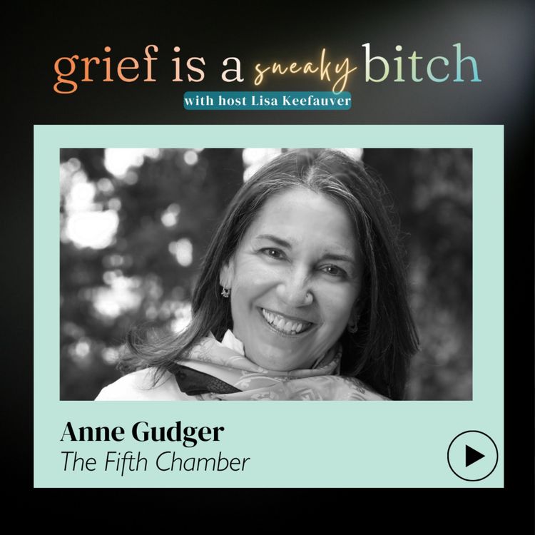 cover art for Anne Gudger | The Fifth Chamber