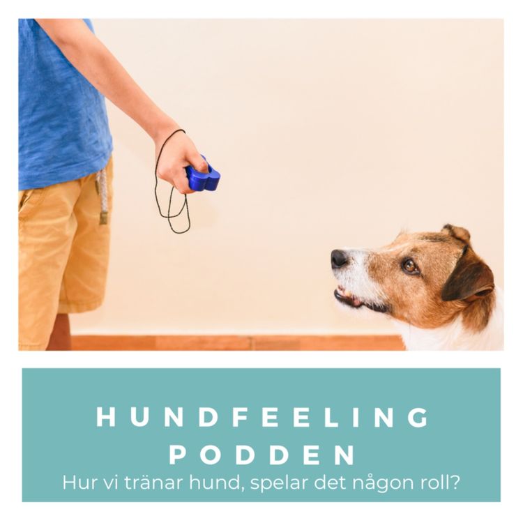 cover art for Hur vi tränar hund, spelar det någon roll?