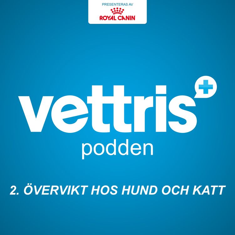 cover art for Övervikt hos hund och katt