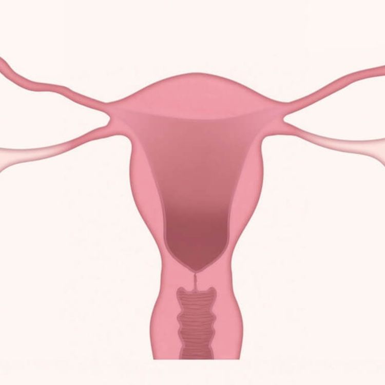 cover art for Olej Rycynowy - Zastosowanie