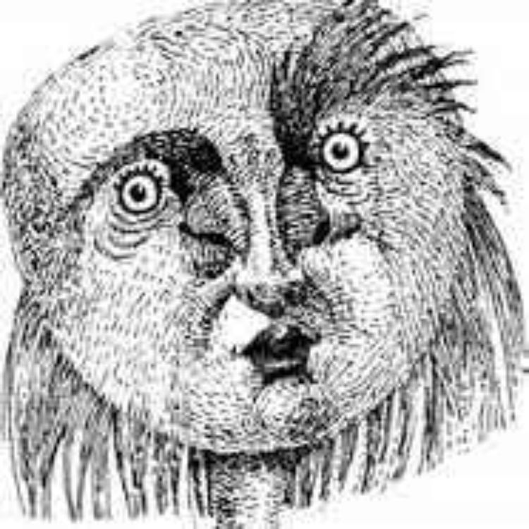 cover art for LA LAGARTA, Miguel Llanque en Radio París La Paz