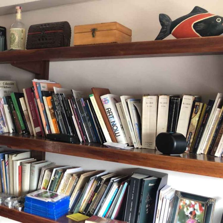 cover art for LA BIBLIOTECA DE DIEGO REVOLLO, una visita de Radio Parìs La Paz