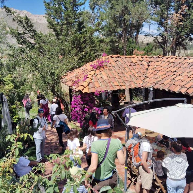 cover art for CAMINANDO POR LOS ESPACIOS CULTURALES, 