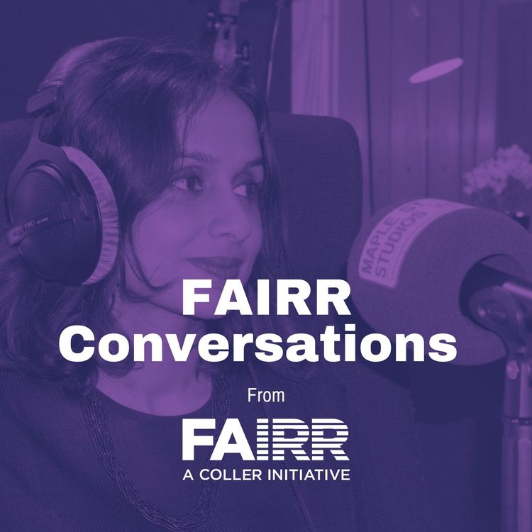 cover art for An introduction to the Coller FAIRR Protein Production Index 