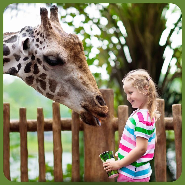 cover art for Les zoos jouent-ils vraiment un rôle dans la sauvegarde de la biodiversité ?