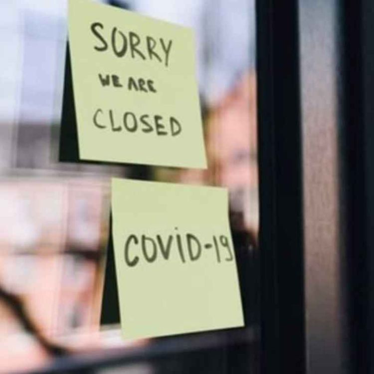 cover art for Bästa sättet att få pli på vår tids stora pandemi