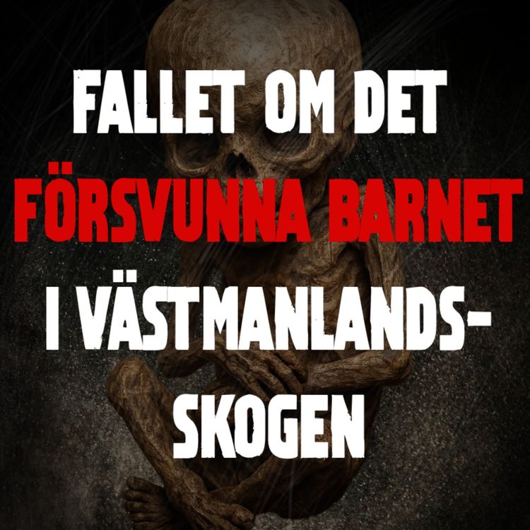 cover art for Fallet Om Det Försvunna Barnet I Västmanlandsskogen