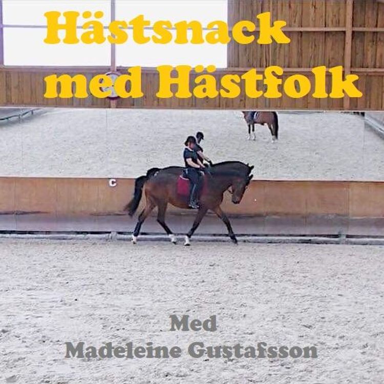 cover art for Intervju: Jobba utomlands med Madeleine Gustafsson