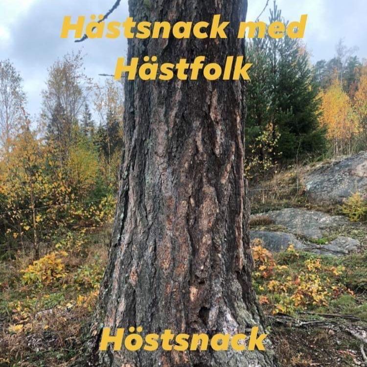 cover art for Höstsnack