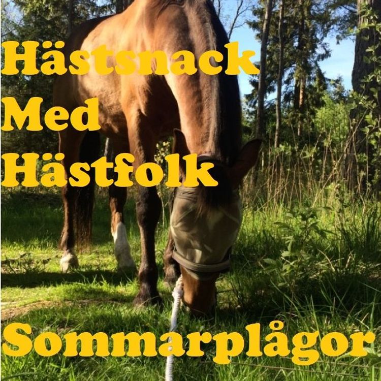 cover art for Sommarplågor