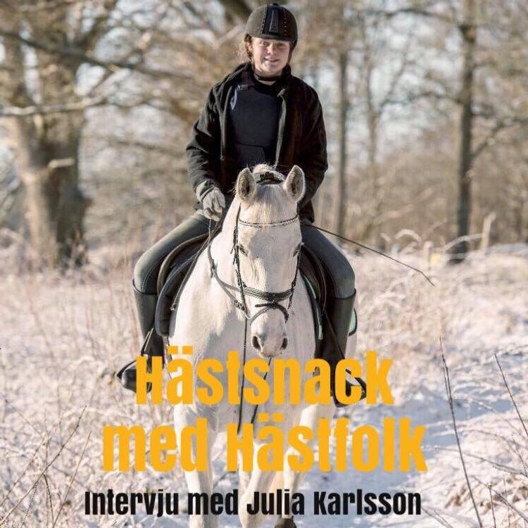 cover art for Intervju: Julia Karlsson