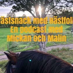 cover art for Hästsnack med Hästfolk