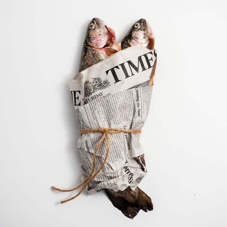 cover art for NewsTrout - Episode 1 - 7 Jan 2020