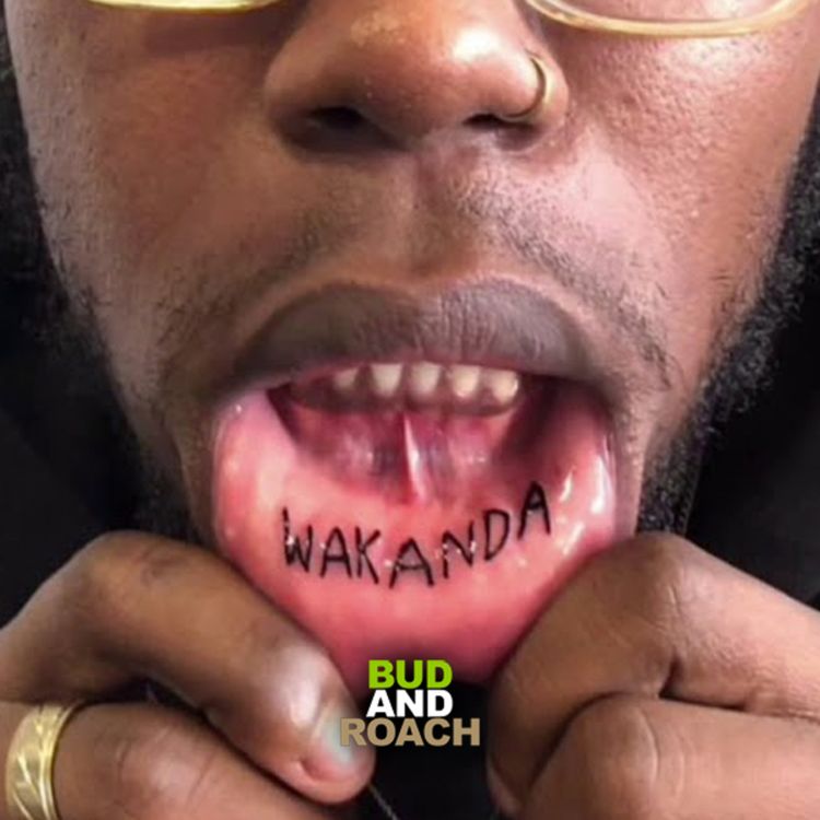 cover art for Why Do People Do The Most? - @BudandRoach