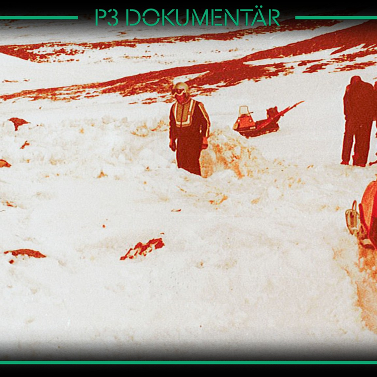 cover art for Tragedin i Anarisfjällen