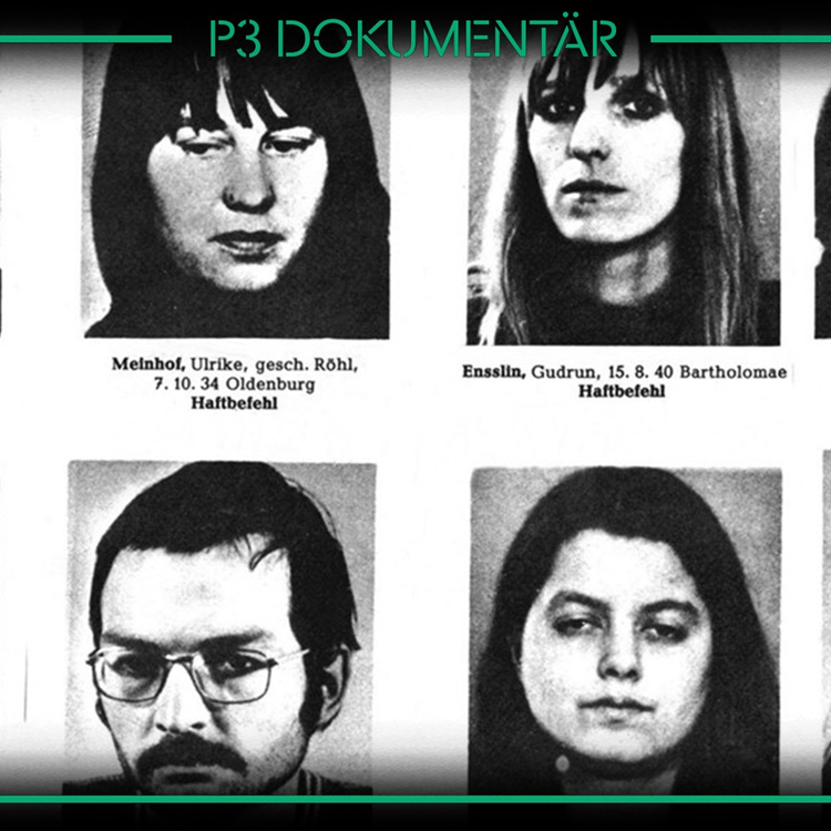 cover art for Dramat på västtyska ambassaden