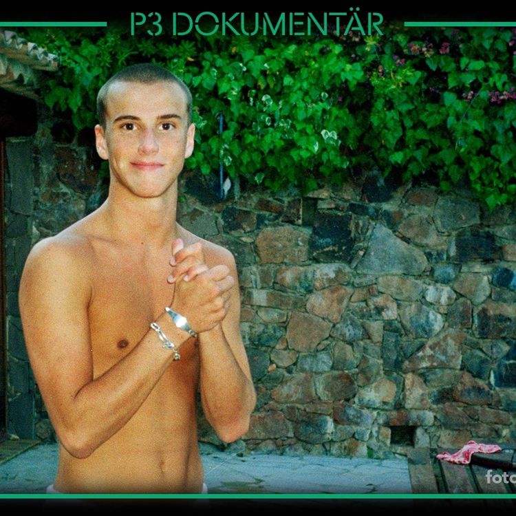 cover art for Dödsmisshandeln av Riccardo Campogiani