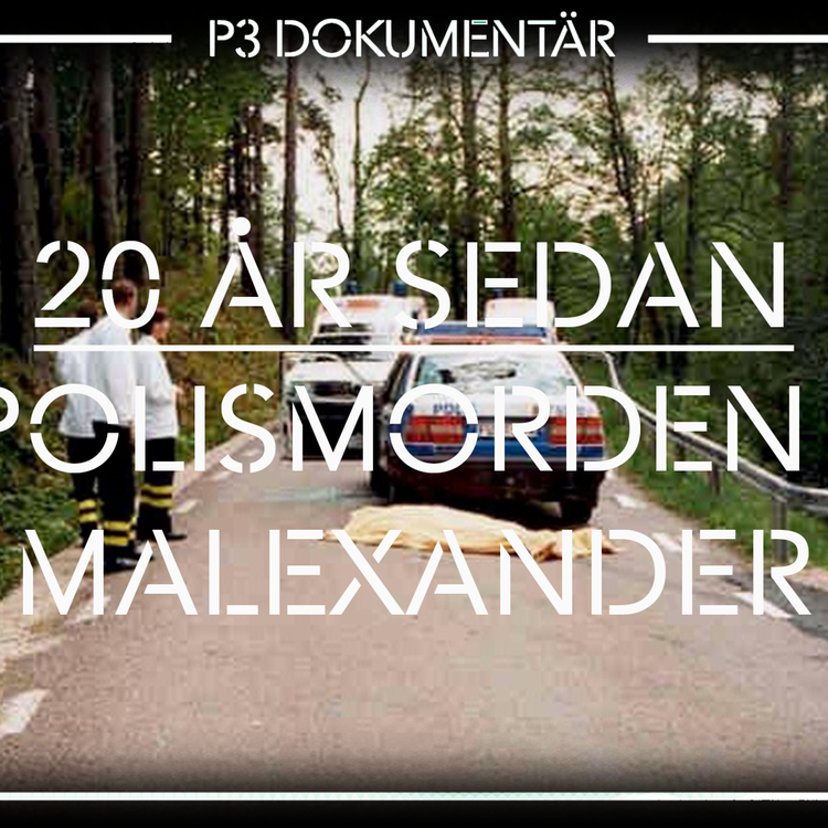cover art for Polismorden i Malexander