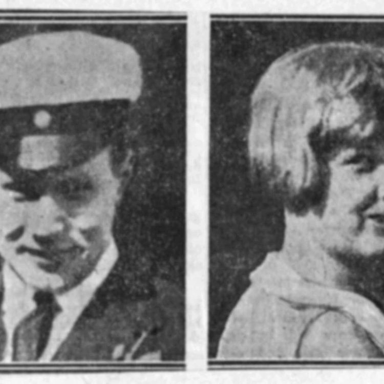 cover art for De von Sydowska morden