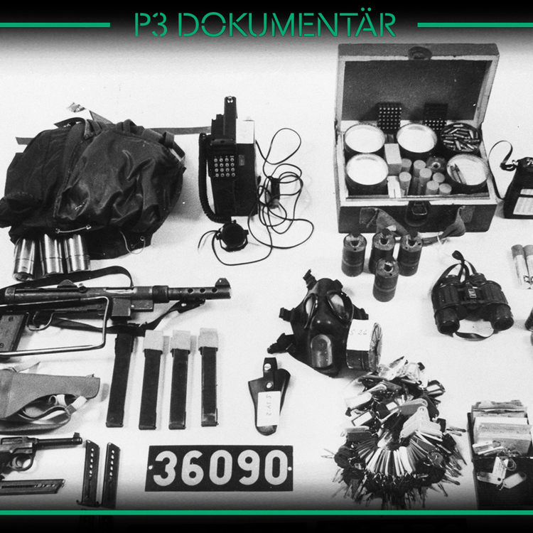 cover art for Maskeradligan