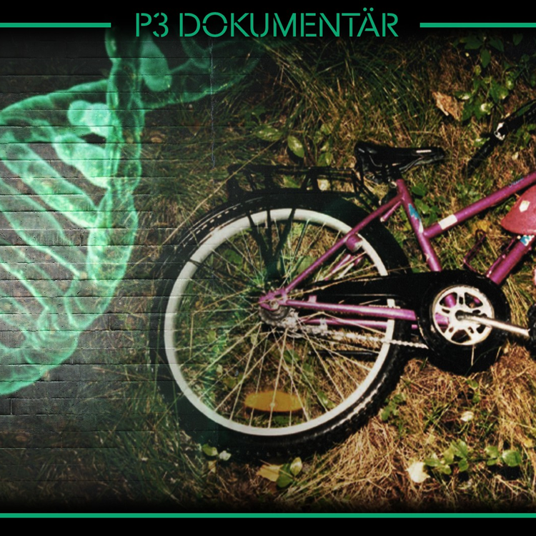 cover art for Våldtäktsfallet i Billdal