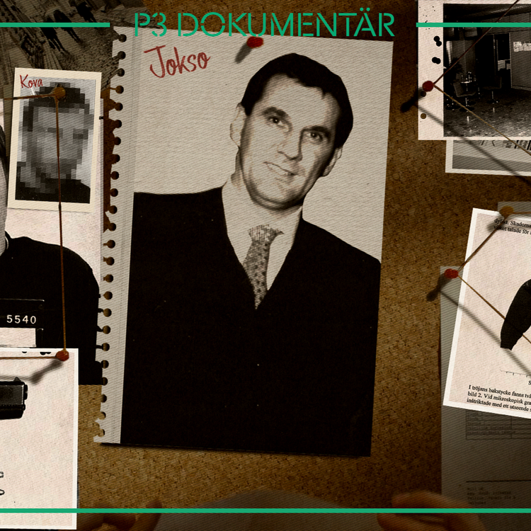 cover art for Solvallamordet