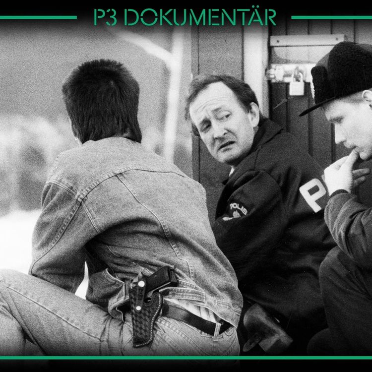 cover art for Skottdramat i Gävle