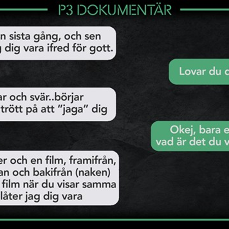 cover art for Nätpedofilen i Husby