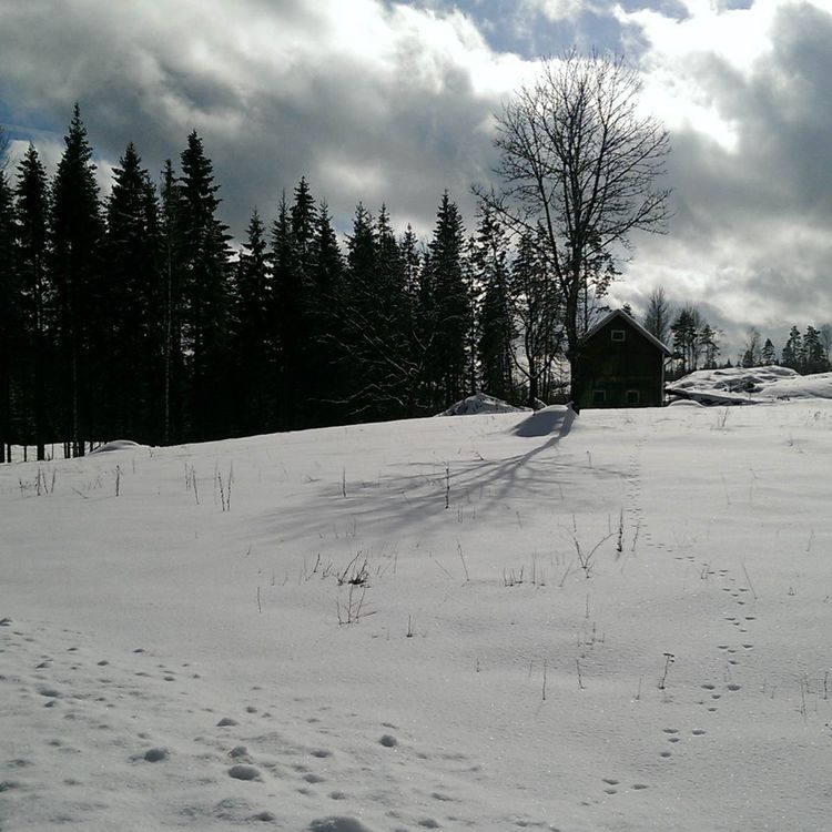 cover art for Fallet Bobby