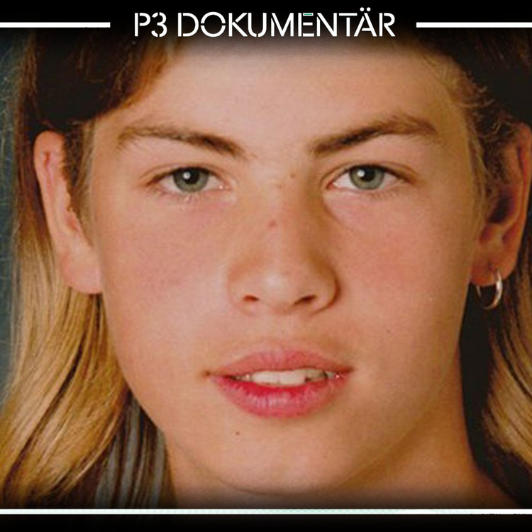 cover art for Mordet på John Hron