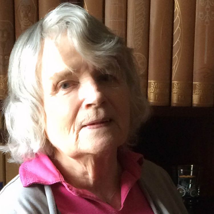 cover art for Nazisträttegångarna i Göteborg