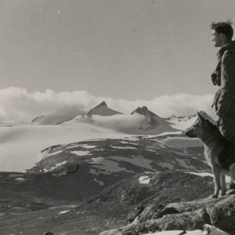 cover art for Operation Sepals: CIA i Norrbotten