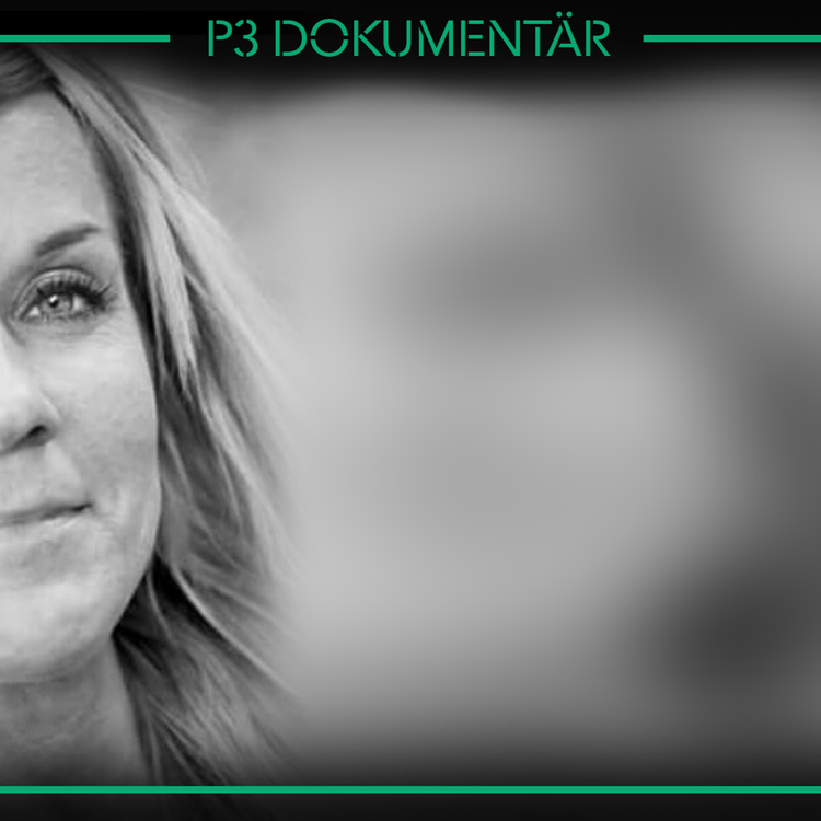 cover art for Mordet på Lotta