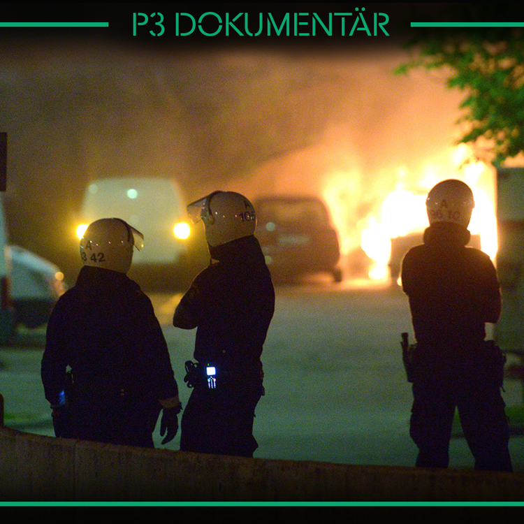 cover art for Husbykravallerna