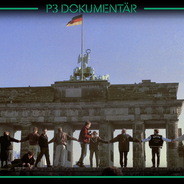 cover art for Järnridån som föll - Berlinmuren