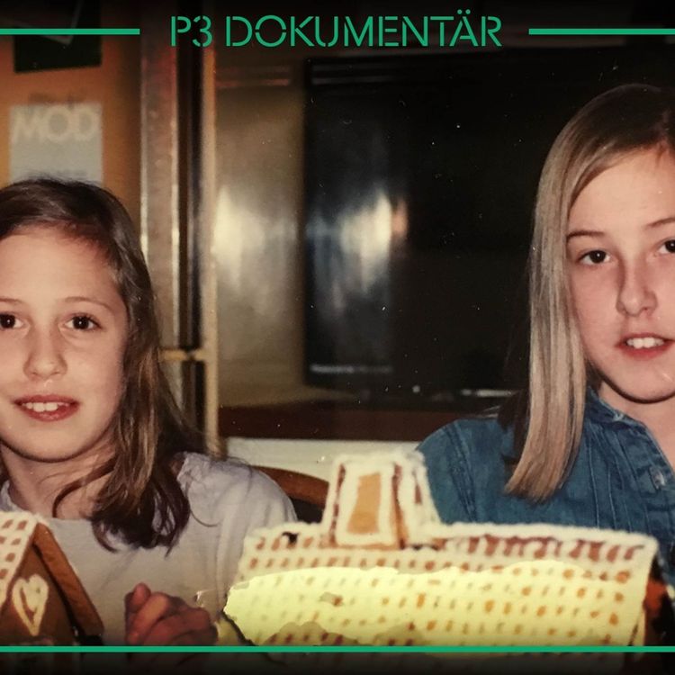 cover art for Vansinnesdådet i Bollnäs