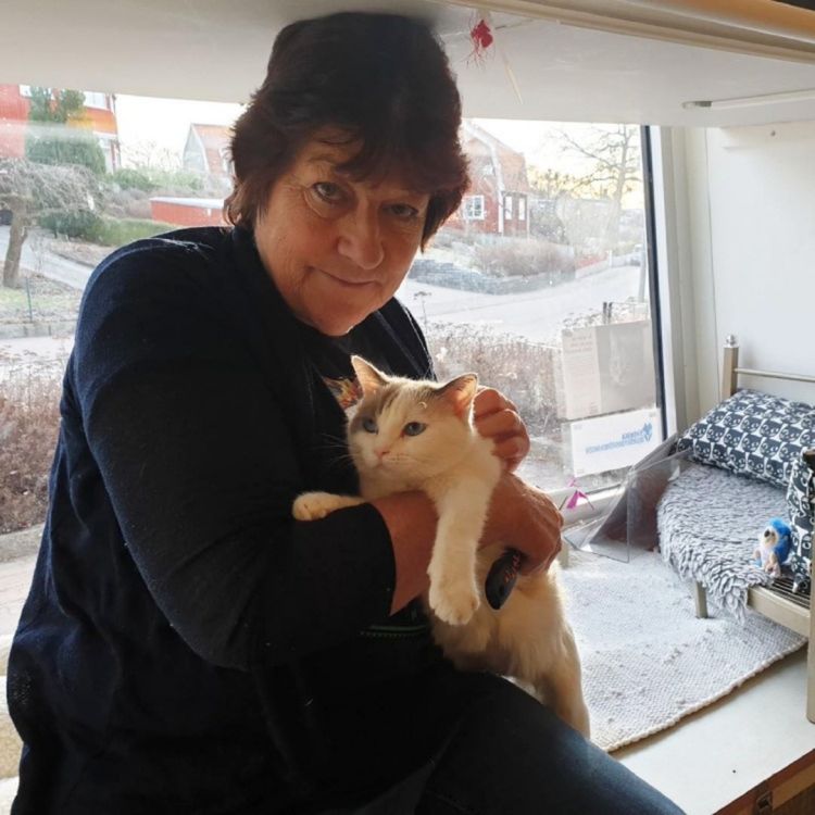 cover art for Huskatten Västerås