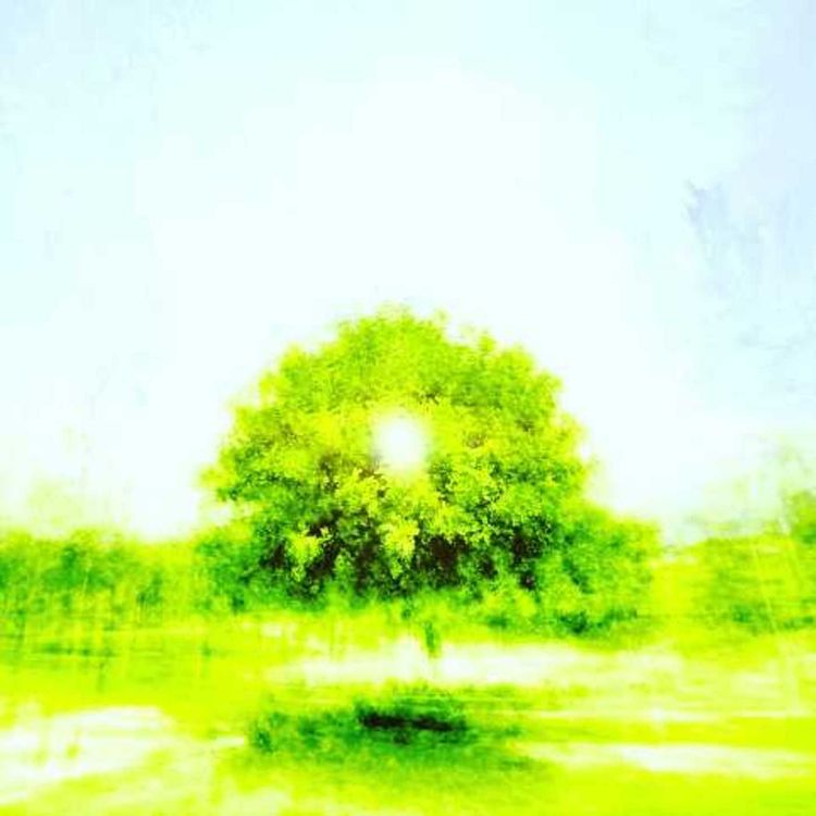 cover art for Relationships