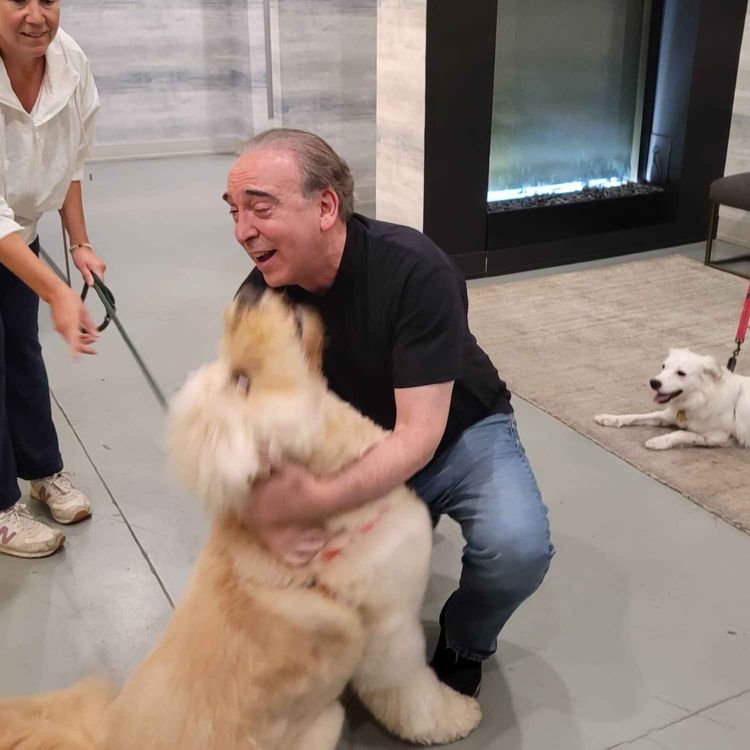 cover art for Greetings from Asbury Park