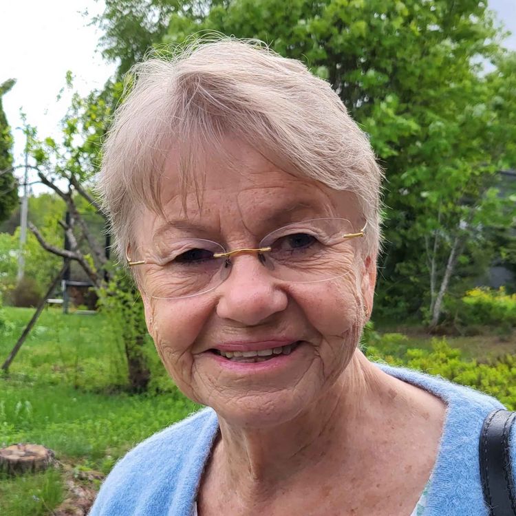 cover art for Ragnhild Stivi