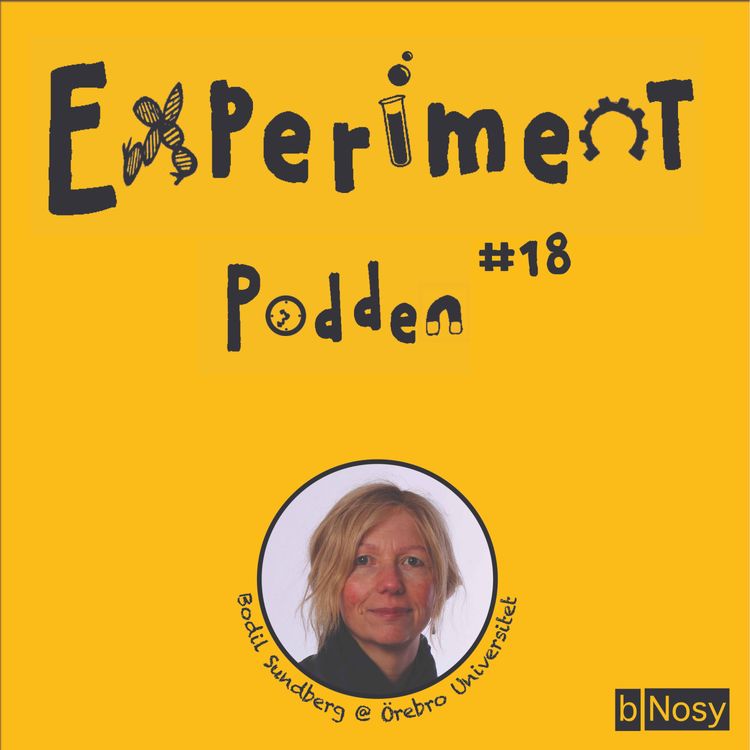 cover art for #18. Bodil Sundberg från Örebro Universitet