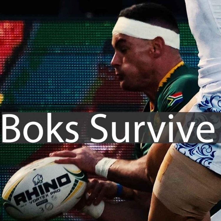 cover art for Springboks Survive Italy as Gatland Accuses Erasmus of spying