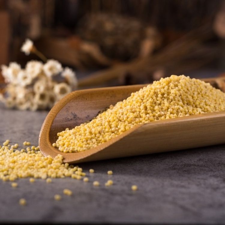 cover art for Couscous