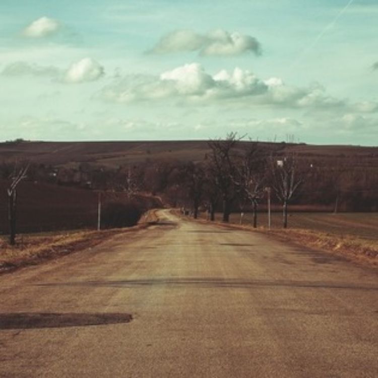 cover art for Solitude