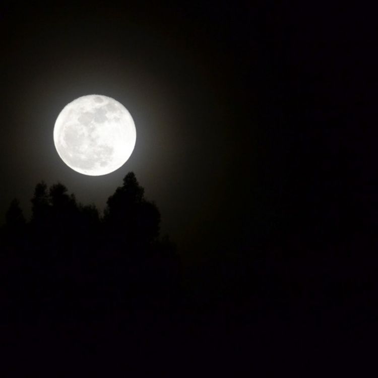 cover art for Rising Moon, Falling Moon