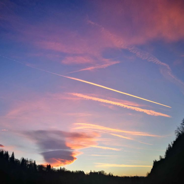 cover art for The Sun