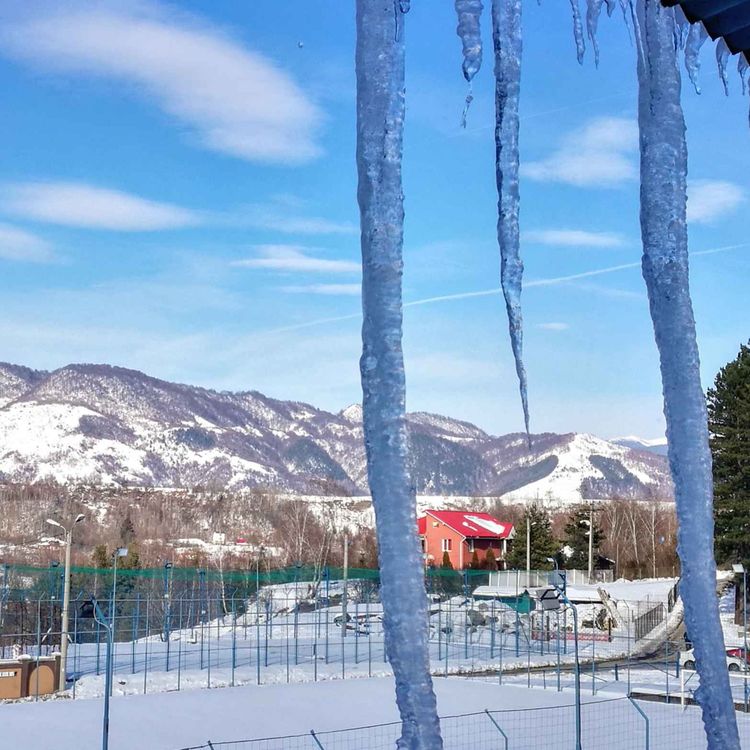 cover art for Wintering