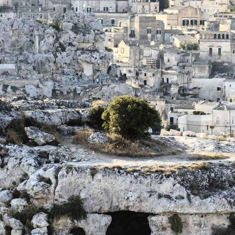 cover art for Untitled