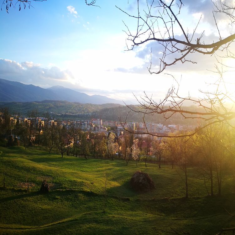 cover art for Towering Over